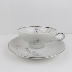 SALADMASTER Estate China  “FANTASY” Tea Cup & Saucer Set Bavaria Germany